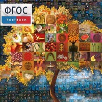 Начальная школа. Иностранный язык. (Цифровая база изображений) - fgospostavki.ru - Дмитров