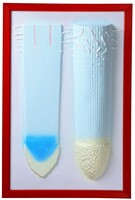 Барельефная модель "Клеточное строение корня" - fgospostavki.ru - Дмитров