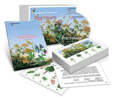 Комбинированное наглядное пособие «Растения» - fgospostavki.ru - Дмитров