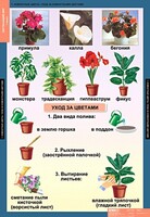 Комплект таблиц. Окружающий мир 1 класс. - fgospostavki.ru - Дмитров