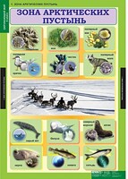 Комплект таблиц. Окружающий мир 4 класс. - fgospostavki.ru - Дмитров