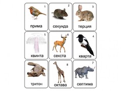 Набор магнитных карточек по музыке "Животные" (9 штук) - fgospostavki.ru - Дмитров