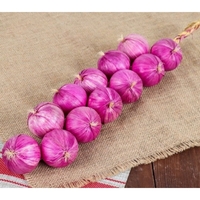 Муляжи "Связка лука" - fgospostavki.ru - Дмитров