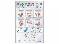 Интерактивный стенд "Живые зубки" - fgospostavki.ru - Дмитров
