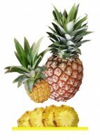 Комплект карточек "Запоминай, играй, считай" - Фрукты - fgospostavki.ru - Дмитров