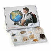 Коллекция "Обитатели морского дна" - fgospostavki.ru - Дмитров