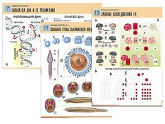 Комплект таблиц по биологии демонстрационных "Общая биология 1" (16 таблиц, формат А1, ламинированные) - fgospostavki.ru - Дмитров
