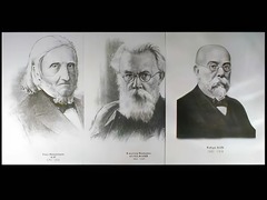 Портреты биологов (26 штук, формат А3) - fgospostavki.ru - Дмитров