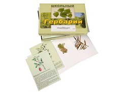 Гербарий "Для начальной школы" (30 видов, с иллюстрациями) - fgospostavki.ru - Дмитров