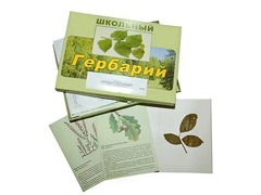 Гербарий "Дикорастущие растения" (30 видов, с иллюстрациями) - fgospostavki.ru - Дмитров