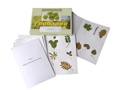 Гербарий "Морфология растений" (6 тем, 30 видов) - fgospostavki.ru - Дмитров
