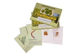 Гербарий "Основные группы растений. Грибы. Лишайники" (53 листа, с иллюстрациями и фотографиями) - fgospostavki.ru - Дмитров