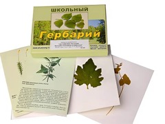 Гербарий "Систематика растений. Высшие споровые и семенные" (раздаточный) - fgospostavki.ru - Дмитров