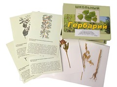 Гербарий "Систематика растений. Семейство Бобовые. Злаки" (раздаточный) - fgospostavki.ru - Дмитров