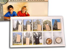 Коллекция "Древесные растения и их распространение" (раздаточная) - fgospostavki.ru - Дмитров