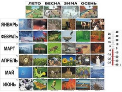 Фенологические наблюдения - fgospostavki.ru - Дмитров