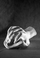 Кисть Давида (гипс) - fgospostavki.ru - Дмитров