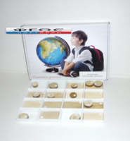 Коллекция "Древесные породы" - fgospostavki.ru - Дмитров