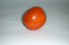 Муляж "Гранат" - fgospostavki.ru - Дмитров