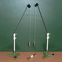 Маятник электростатический - fgospostavki.ru - Дмитров