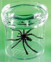 Баночка для изучения насекомых GeoSafari - fgospostavki.ru - Дмитров