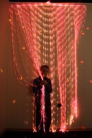Мерцающий занавес в комплекте с источником света - fgospostavki.ru - Дмитров