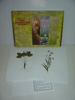 Гербарий "Лекарственные растения" (20 видов) - fgospostavki.ru - Дмитров