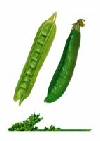 Комплект карточек "Запоминай, играй, считай" -  Овощи - fgospostavki.ru - Дмитров