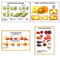 Плакаты ПРОФТЕХ "Ассортимент овощных культур" (12 пл, винил, 70х100) - fgospostavki.ru - Дмитров