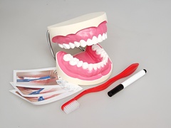 Игровой комплект "Чистим зубы" - fgospostavki.ru - Дмитров