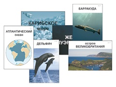 Модель-аппликация "Океаны. Знакомство" (ламинированная) - fgospostavki.ru - Дмитров