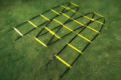 Лестница для тренировок (вариант 1) - fgospostavki.ru - Дмитров