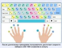 Интерактивные курсы. Информатика 7 класс . Базовый. - fgospostavki.ru - Дмитров