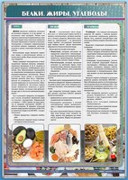 Стенд "Белки. Жиры. Углеводы" - fgospostavki.ru - Дмитров
