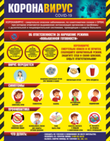 Плакат "Коронавирус" (вариант 1) - fgospostavki.ru - Дмитров
