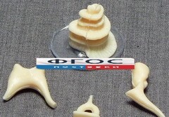 Модель "Косточки слуховые" - fgospostavki.ru - Дмитров