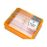 Набор готовых микропрепаратов (зоология) - fgospostavki.ru - Дмитров