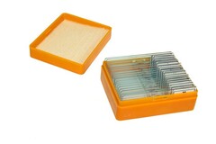 Набор готовых микропрепаратов (биология и физиология) - fgospostavki.ru - Дмитров