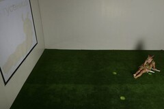 Интерактивная светозвуковая система “Лайт Бим” - fgospostavki.ru - Дмитров