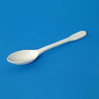 Ложка фарфоровая N2 - fgospostavki.ru - Дмитров