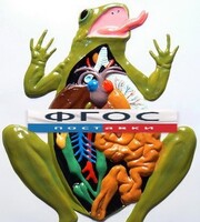 Модель барельефная "Внутреннее строение лягушки" - fgospostavki.ru - Дмитров