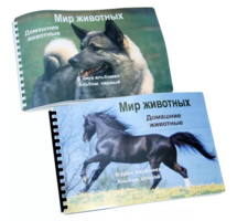 Пособие для слабовидящих - Домашние животные - fgospostavki.ru - Дмитров