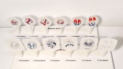 Модель "Митоз и мейоз клетки" - fgospostavki.ru - Дмитров