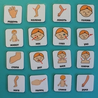 Набор карточек "Части тела" - fgospostavki.ru - Дмитров