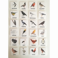 Набор карточек "ПТИЦЫ" - fgospostavki.ru - Дмитров