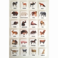 Набор карточек "ЖИВОТНЫЕ" - fgospostavki.ru - Дмитров