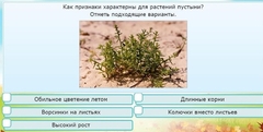Интерактивные курсы. Окружающий мир 3 класс . Базовый. - fgospostavki.ru - Дмитров