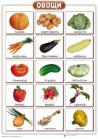 Таблицы "Окружающий мир" (формат А2, ламинированные, 10 таблиц) - fgospostavki.ru - Дмитров
