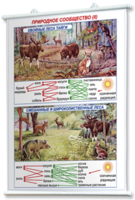 Плакаты по географии России для оформления кабинета. - fgospostavki.ru - Дмитров