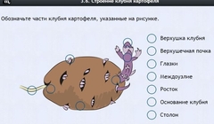 Интерактивные курсы. Биология 6 класс. Расширенный - fgospostavki.ru - Дмитров